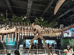 -国家自然博物馆