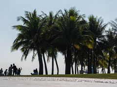 -福田红树林生态公园