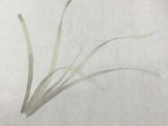 -谷隆画舍·国画书法素描彩铅水彩