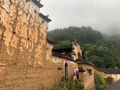 -杨家堂村