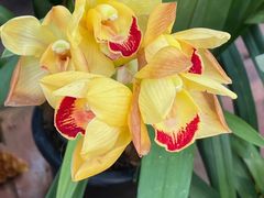 -国家植物园南园