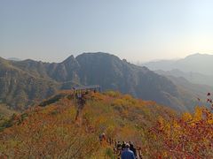 -大岭沟猕猴桃谷风景区