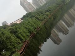 -重庆彩云湖湿地公园