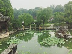 窗外-乌镇望津里精品酒店