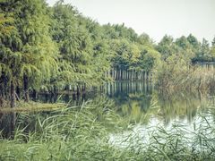 -贡湖湾湿地公园