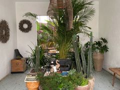 -云里小坐·小院里·团建·宴请·下午茶(三圣乡店)