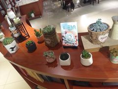 -新华书店(印象城店)