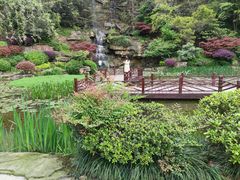 -铁山坪森林公园