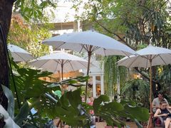 -Fern Forest Cafe