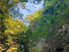 -夏霖九天银瀑风景区