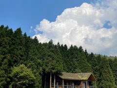 -武陵山森林公园