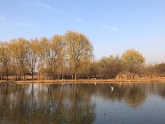 -西安浐灞国家湿地公园