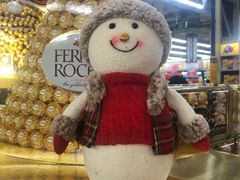 -麦德龙(郑东店)