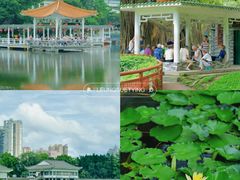 -荔湾湖公园