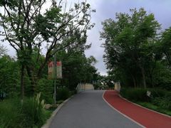 -上海长兴岛郊野公园