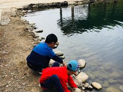 -杨树湾村村民委员会电动汽车充电站