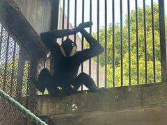 -宁波野生动物园
