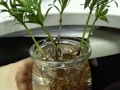 -佩家私房烘焙(宝龙店)