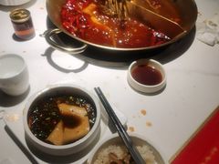 -小龙翻大江文化火锅(宽窄店)