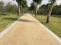 -昆山城市生态森林公园