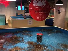 -日进一片海.生腌海鲜火锅.宵夜烧烤(三里屯总店)