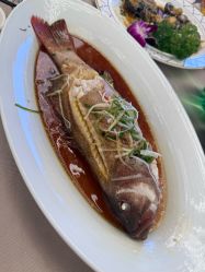 -东方薇婷艺术中心(北外滩店)