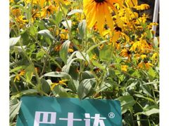 -慕田峪长城