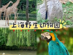 -上海野生动物园