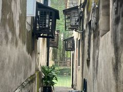 -乌镇东栅景区