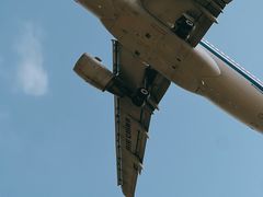 -空港花田景区