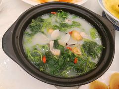 白贝浸桑叶-百乐门喜宴(海珠广场华厦店)