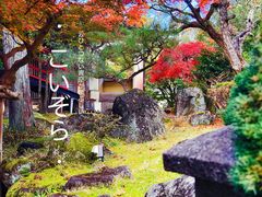 -料亭菊水楼