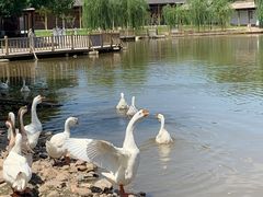 -河北村民俗体验园
