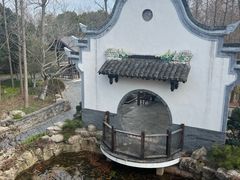 -东平国家森林公园