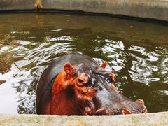 -昆明动物园