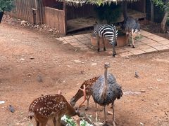 -昆明动物园