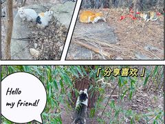 -崂山九水游览区