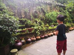 -青城甲(青城山店)