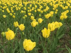 -长春公园(普阳街道)