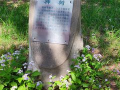 -北陵公园