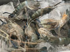 -芭提雅Amporn Seafood自助餐厅