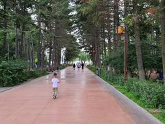 -长春市南湖公园