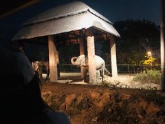 -清迈夜间动物园
