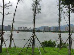 -飞来湖湿地公园