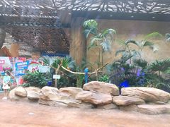 -杭州开元森泊度假乐园