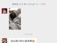 -美联众合动物医院(唯恩分院)