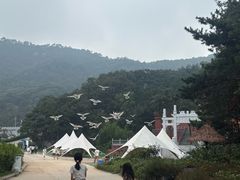 -沂蒙山旅游区云蒙景区(蒙山国家森林公园)
