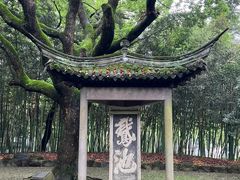 -兰亭风景区