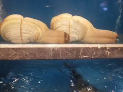 -百富源·海鲜辽菜(和平北大街店)