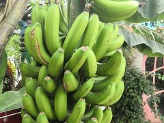 -祥源·阜阳生态乐园